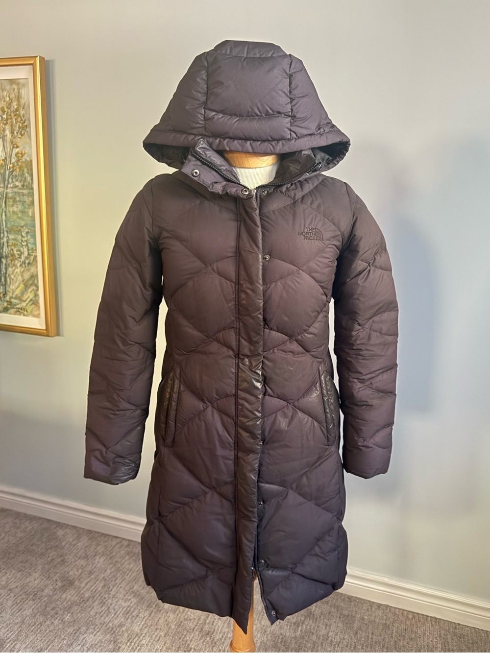 The North Face Women’s M Long 600 Down Hooded Puffer Coat Black